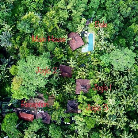 Villa Mahadevi Jungle Retreat Joglo 1 Ubud Extérieur photo