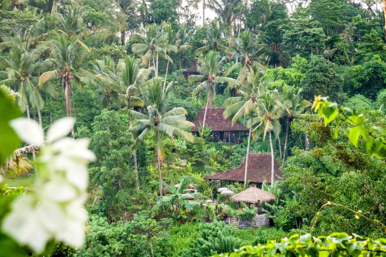 Villa Mahadevi Jungle Retreat Joglo 1 Ubud Extérieur photo